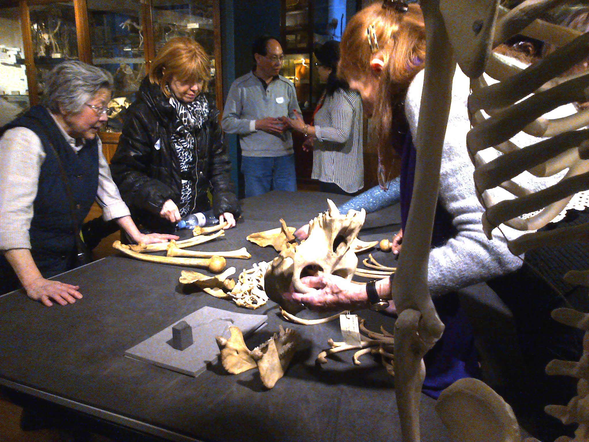 A group of people handling objects from a Museum collection