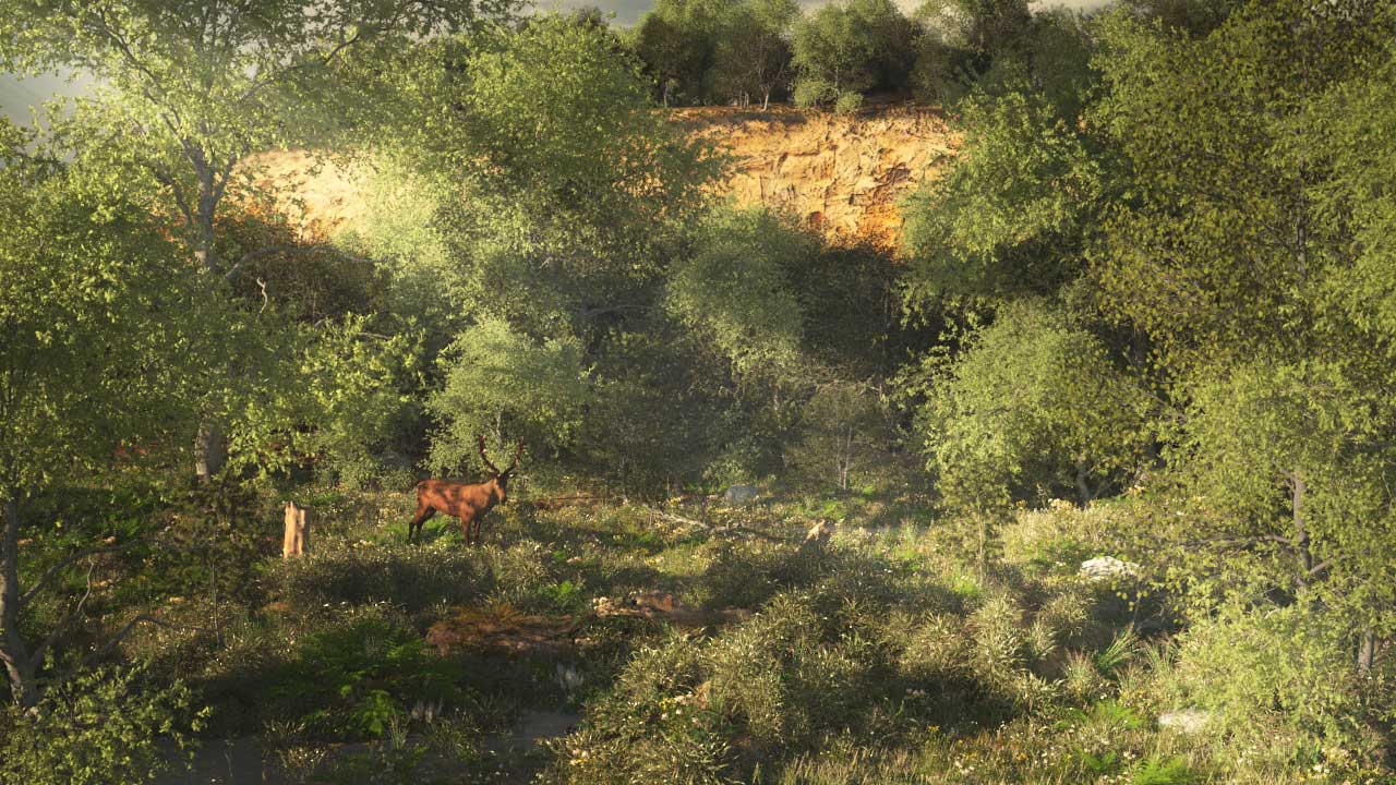 An artists reconstruction of a forested prehistoric landscape.