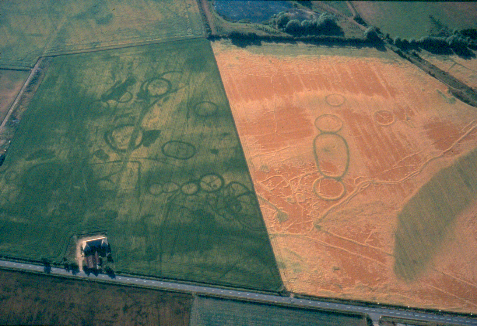 Aerial view of circular crop marks