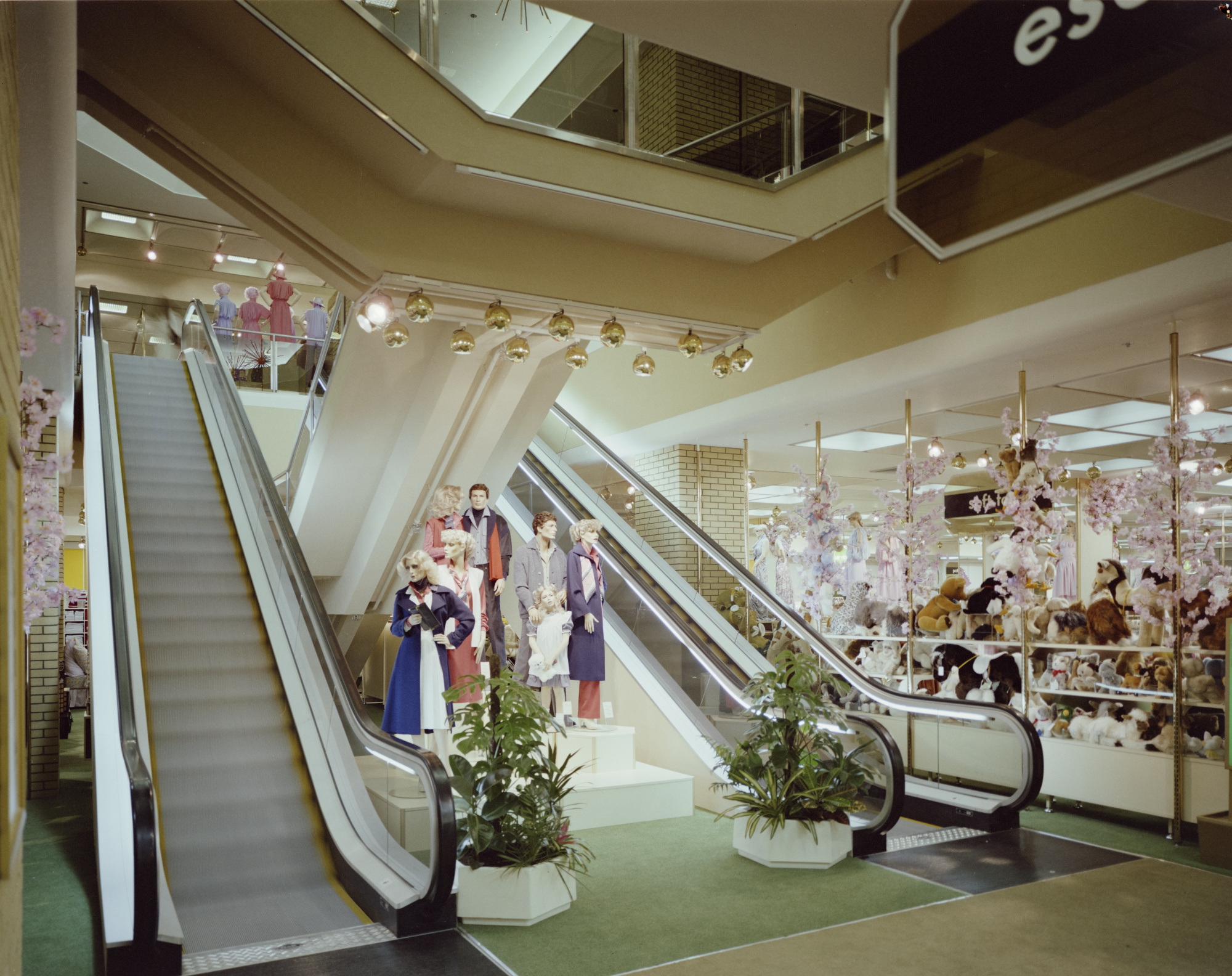 Colour photograph showing the interior of the D H Evans store at Wood Green Shopping City. Between the two escalators there are a group of mannequins and two large plants.