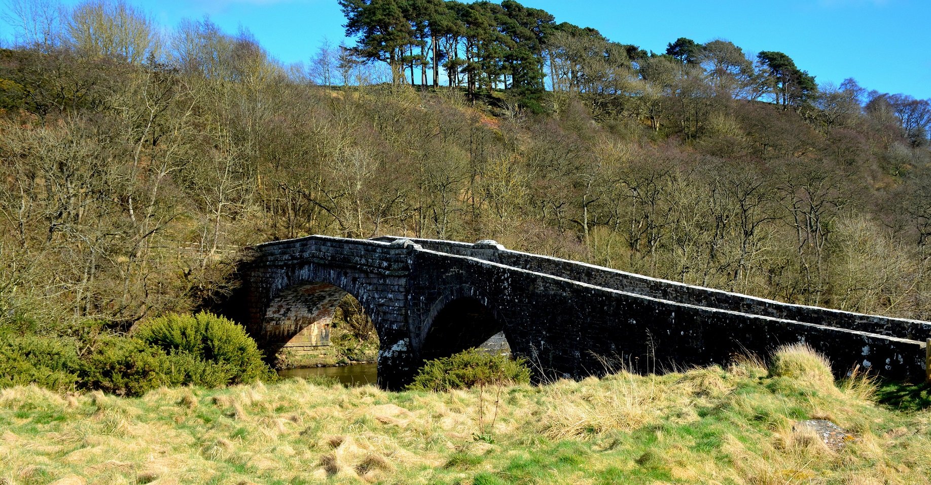 Stone bridge viewed across a grassy river bank (in the foreground), towards wooded slope on the far bank.