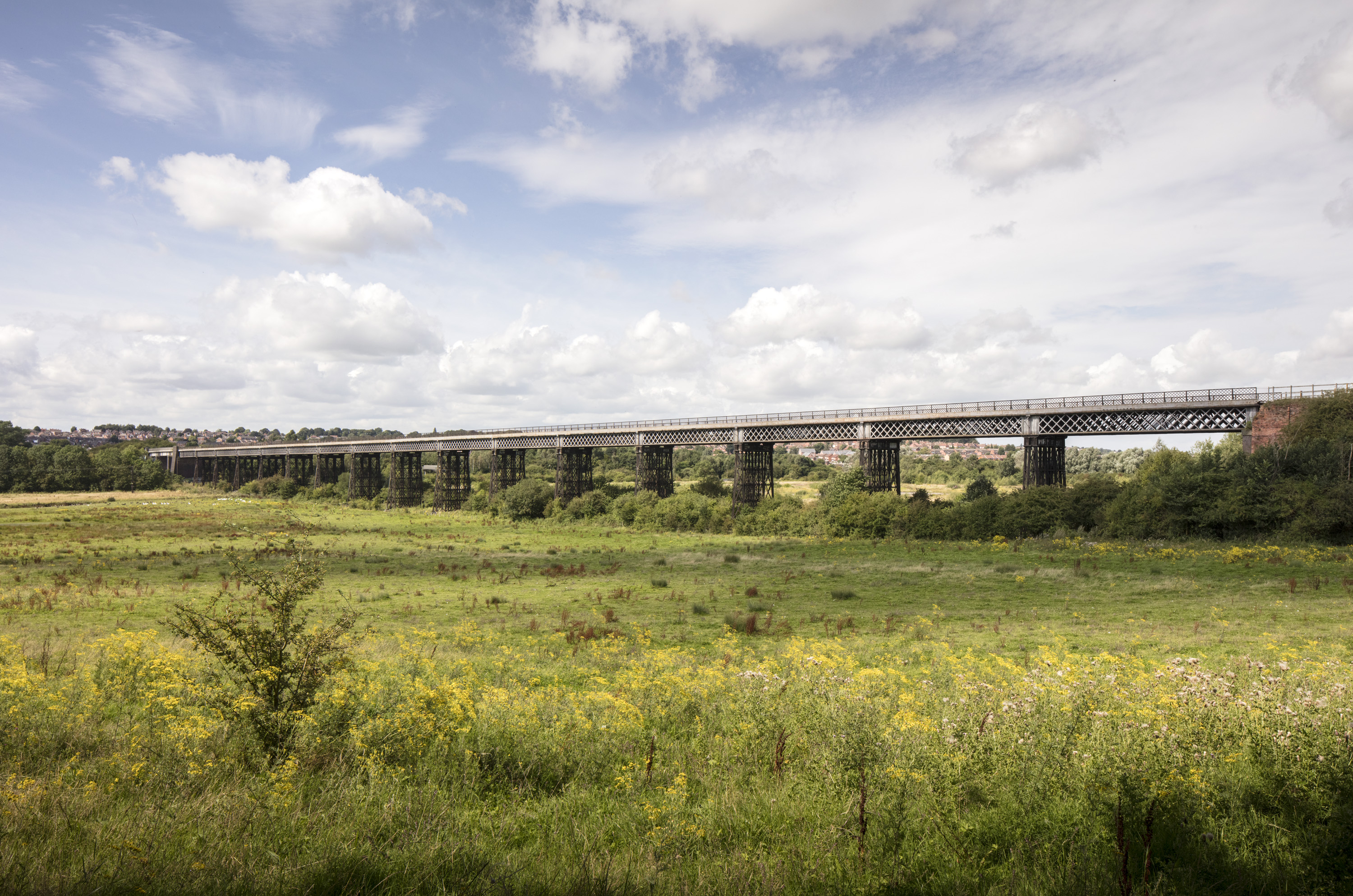 Bennerley Viaduct photographed from a distance with a field with yellow flowers in the foreground