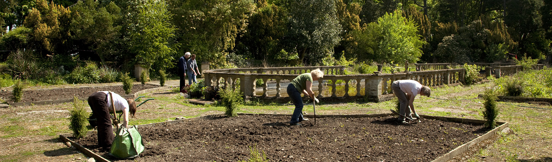 Volunteers planting at Easton Lodge, Nr. Great Dunmow, Essex