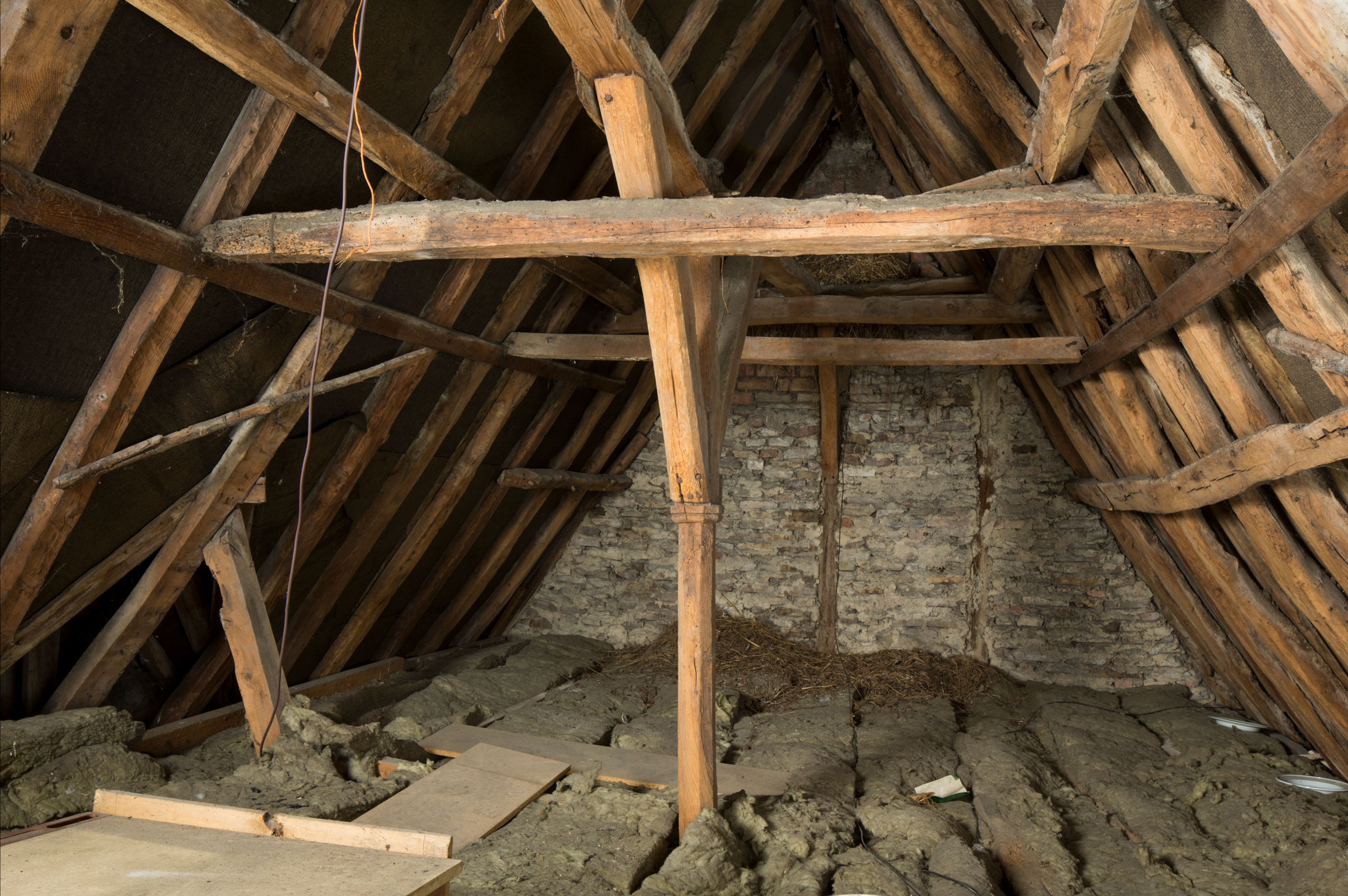 Interior view of roof timbers in an attic.