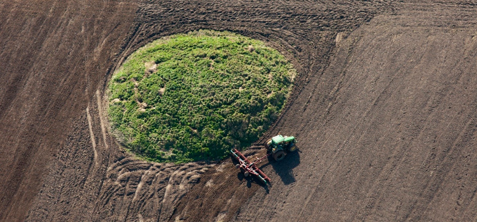 A round barrow clipped by ploughing.