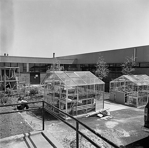 Greenhouses in the gardens of the Employment Rehabilitation Centre in Edgbaston. 1973-1979. 