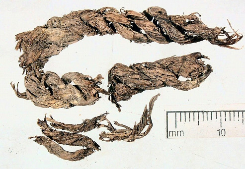 The Roman rope from Carlisle was conserved by immersion in Primal WS24, PEG 400 and Glycerol followed by freeze drying. This resulted in a good colour but poor cohesion. An application of Primal WS24 to the dry rope improved fibre cohesion.