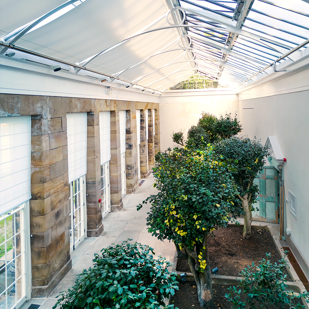 The interior of a botanical building, with growing trees, large windows and white blinds over windows and skylights.