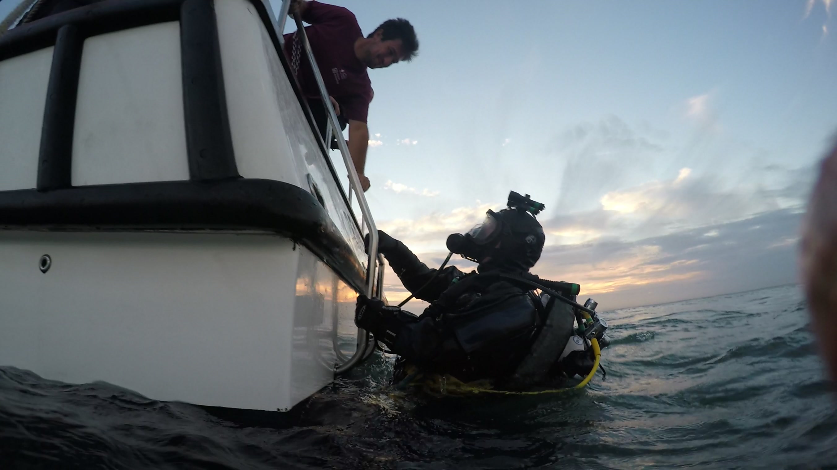 A diver wearing SCUBA equipment prepares to climb up a ladder from a boat following a dive.