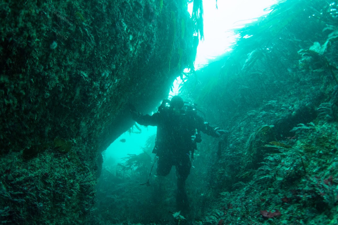 Screen shot from the virtual dive trail for the Association