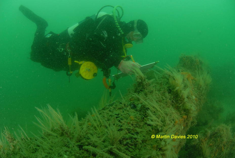 Diver recording cannon on Normans Bay. Credit Martin Davies