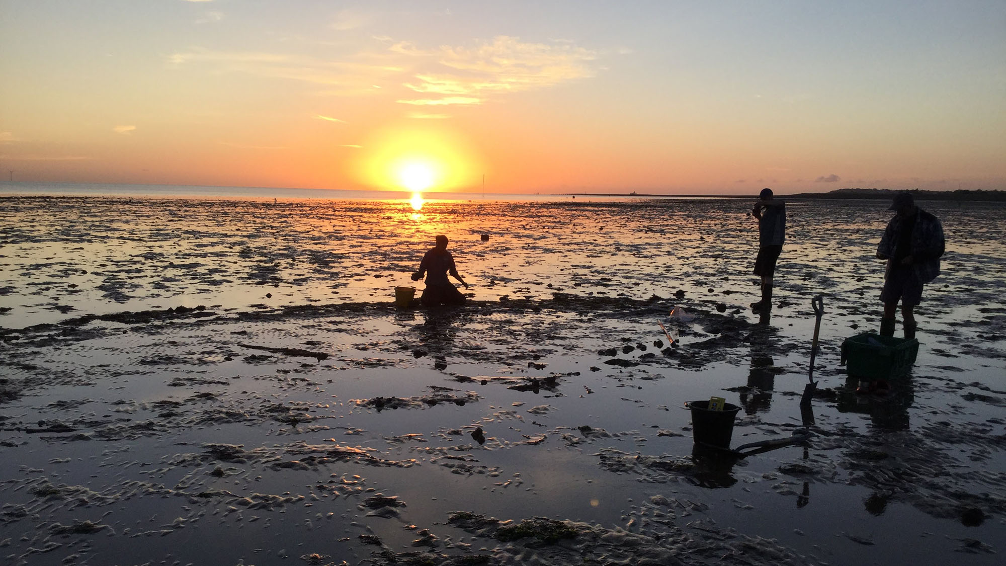 Silhouettes of people on the Tankerton wreck site near Whitstable, North Kent