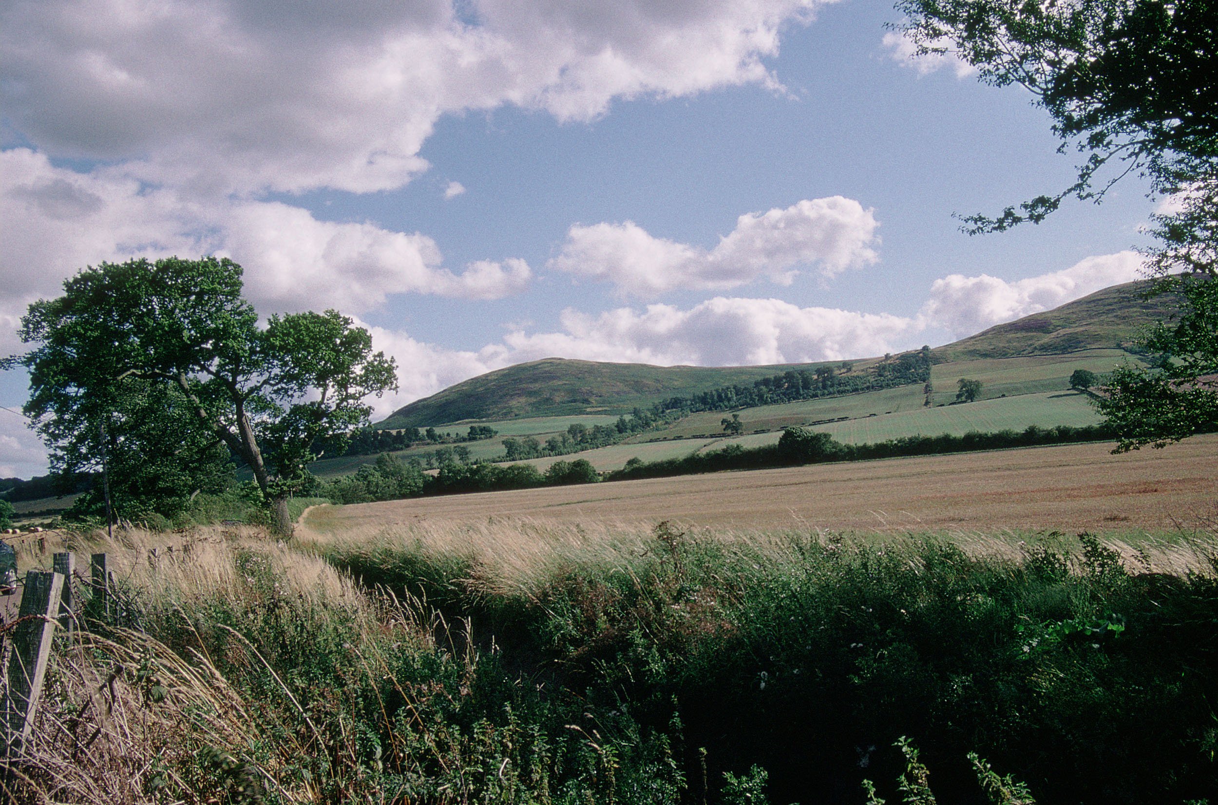 The battlefield of Homildon Hill, Northumberland