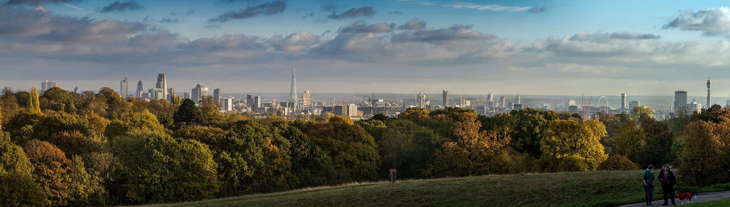 Image of London's skyline from Hampstead Heath