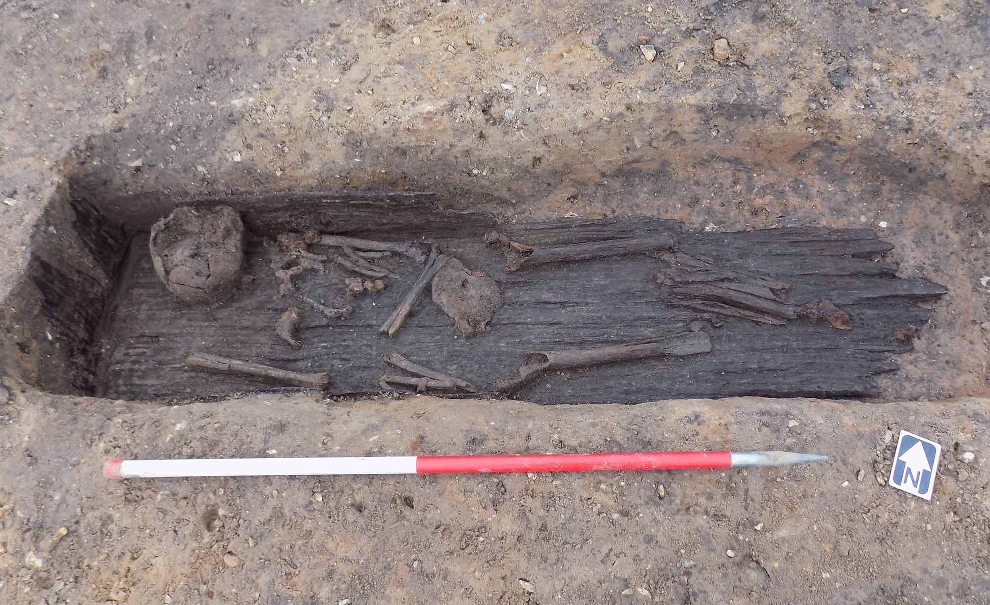 A plank lined grave with human remains