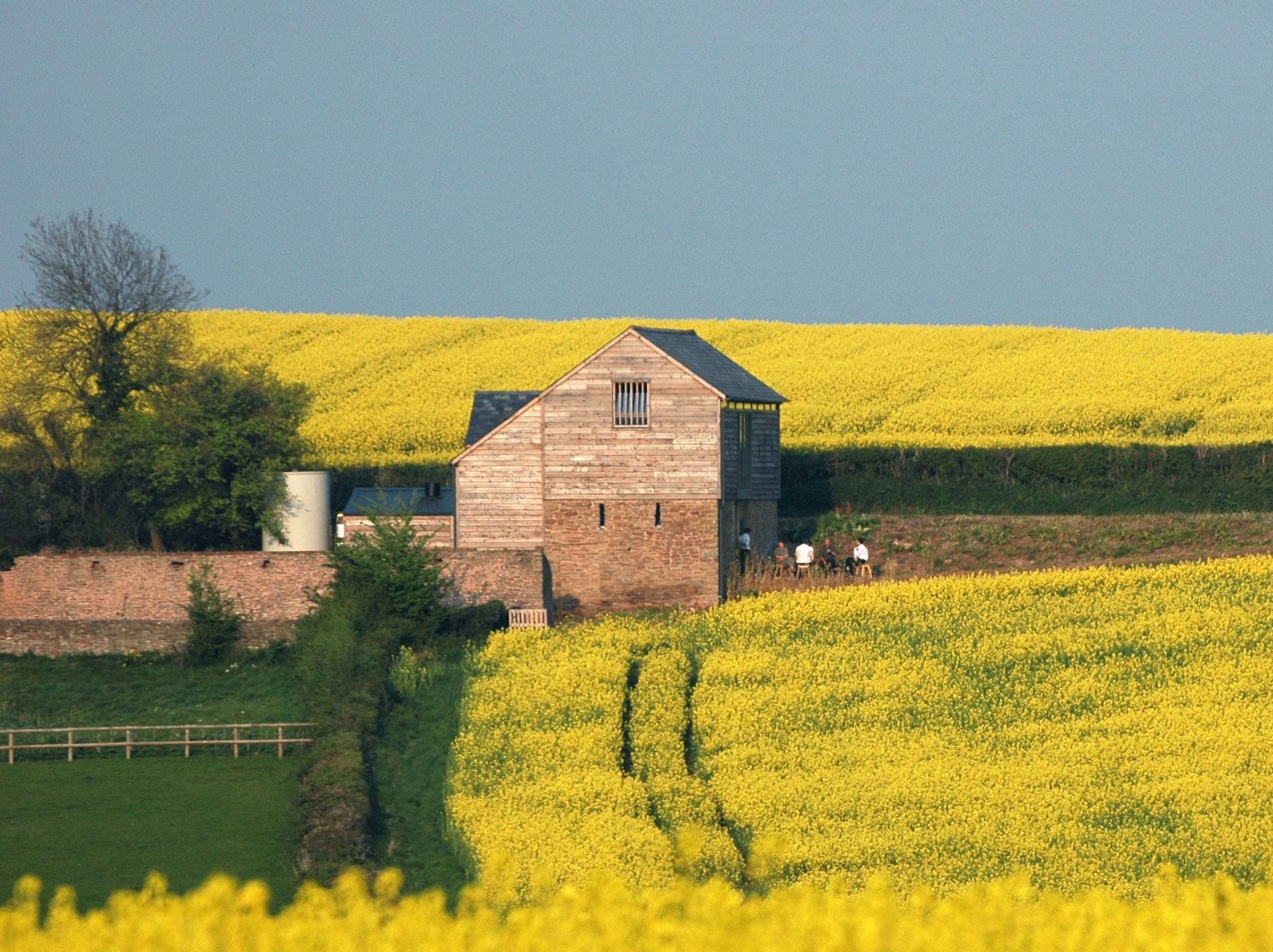 A renovated barn surrounded by golden fields of flowering rape crops