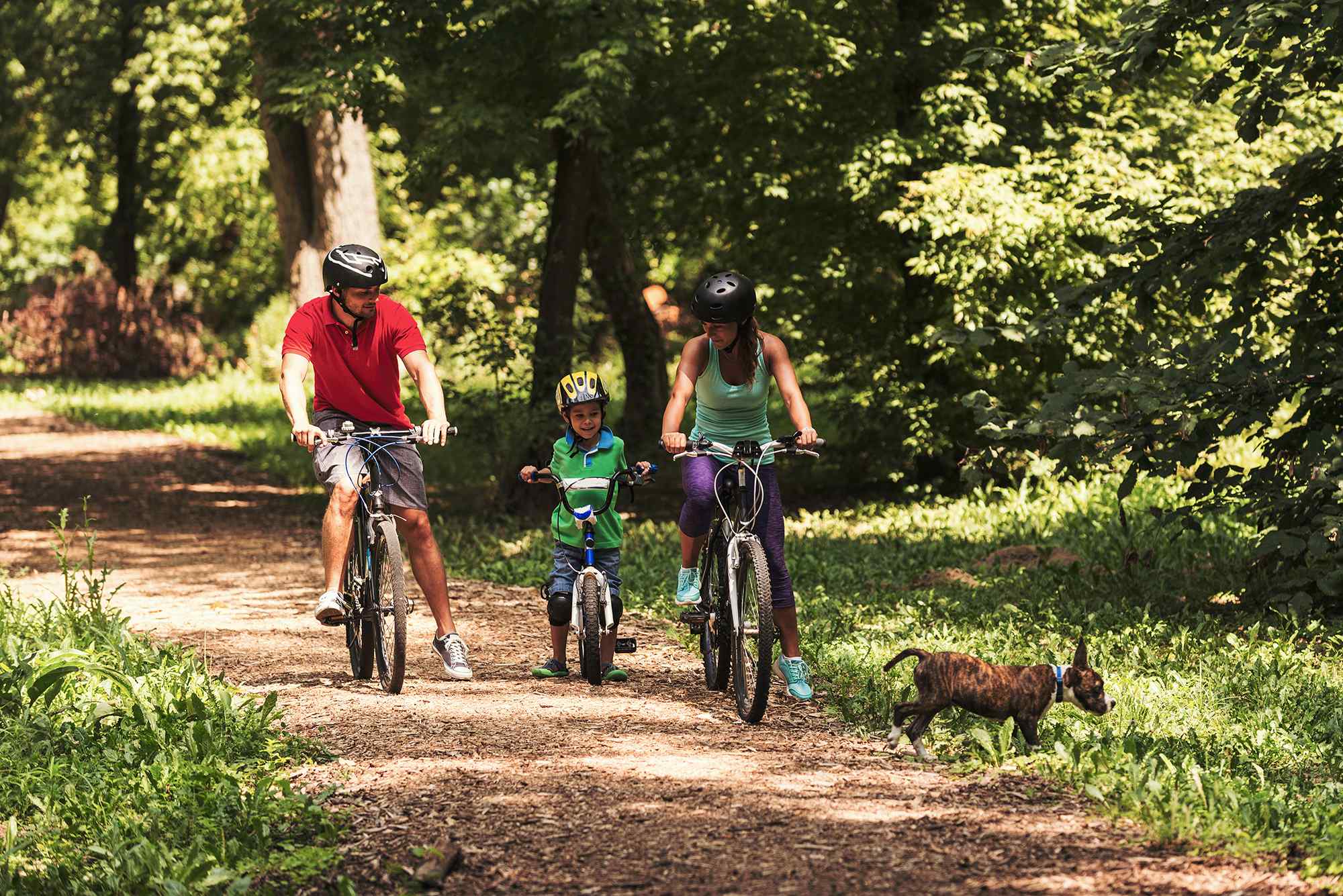 Image of a family with a dog cycling through woodland