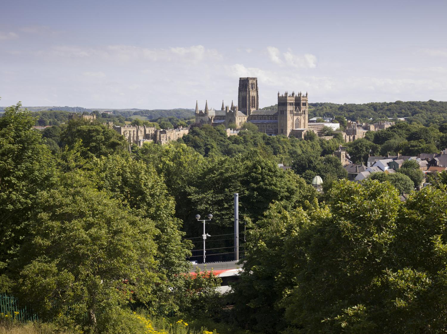 A photograph of a landscape view over the top of trees, with a cathedral in the distance underneath a blue sky.