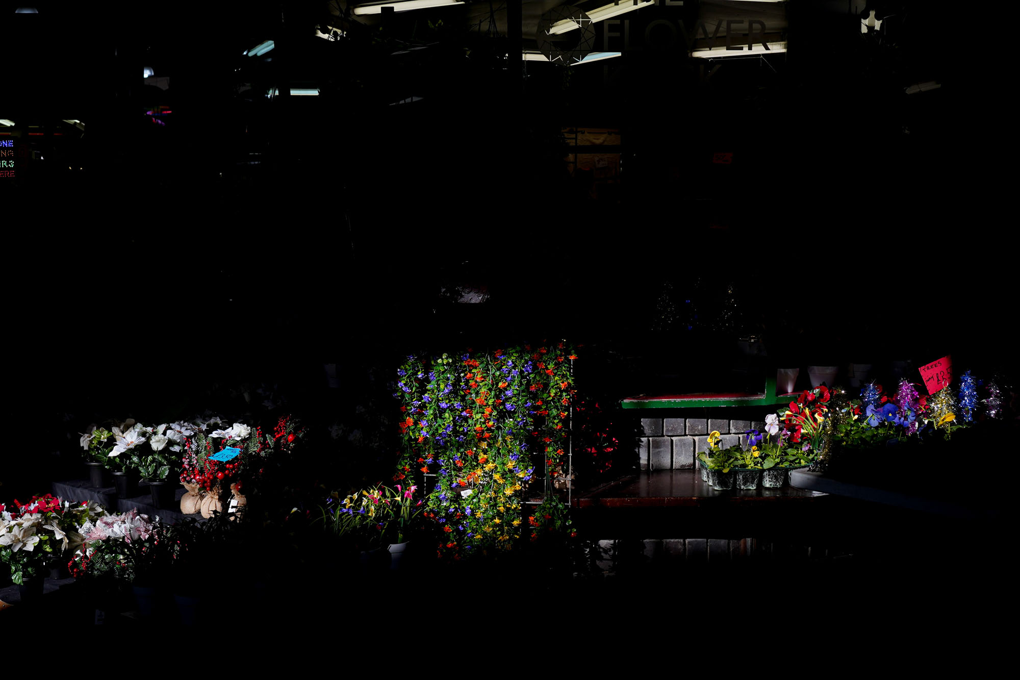 Flower market stall spot-lit against a dark background.
