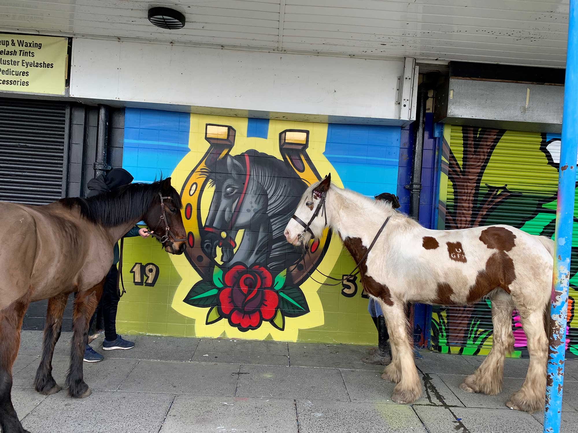 Two horses next to a mural of a horse's head inside a horseshoe, painted on the shutters of a shop on Holmewood Parade.