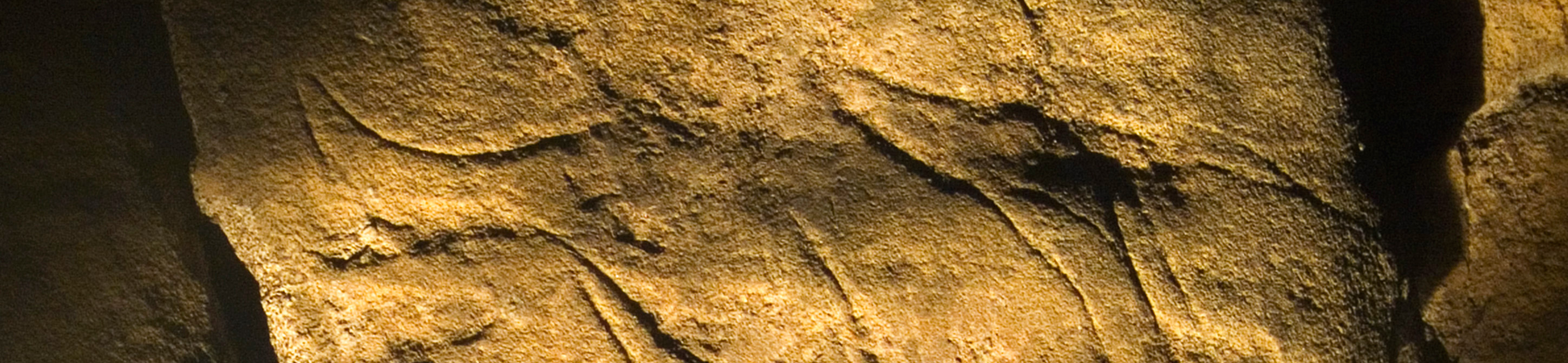 Colour photograph showing a stone cave wall lit at a shallow angle from below to produce shadows from the incised lines