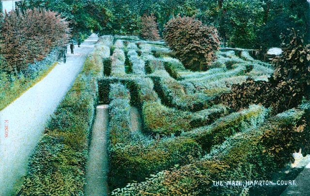 A general view of the maze, 1904-9, at Hampton Court Palace