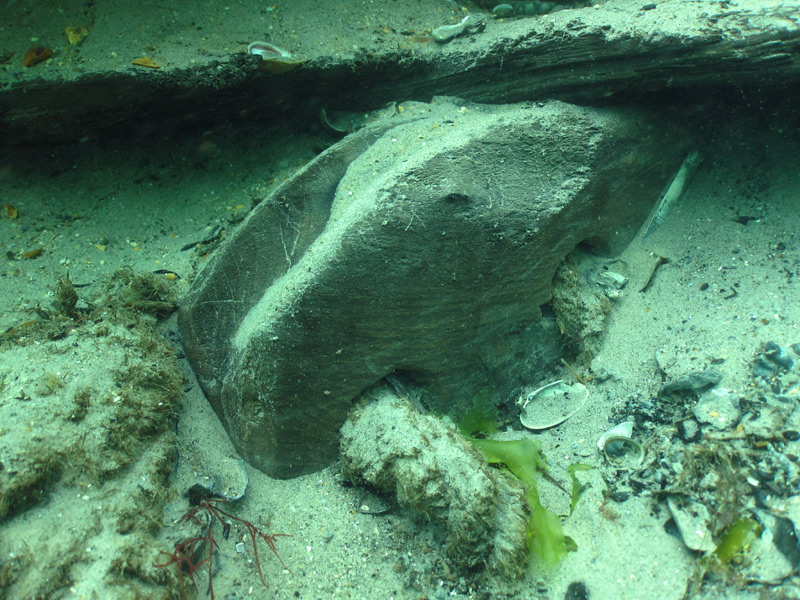 A typical marine environment: A deadeye with remains of rope from the Swash Channel Wreck