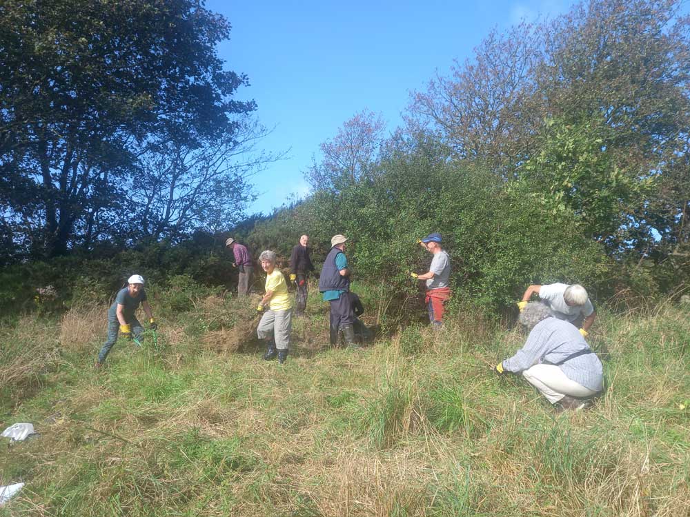 A photograph of people clearing scrub from an earthwork monument 