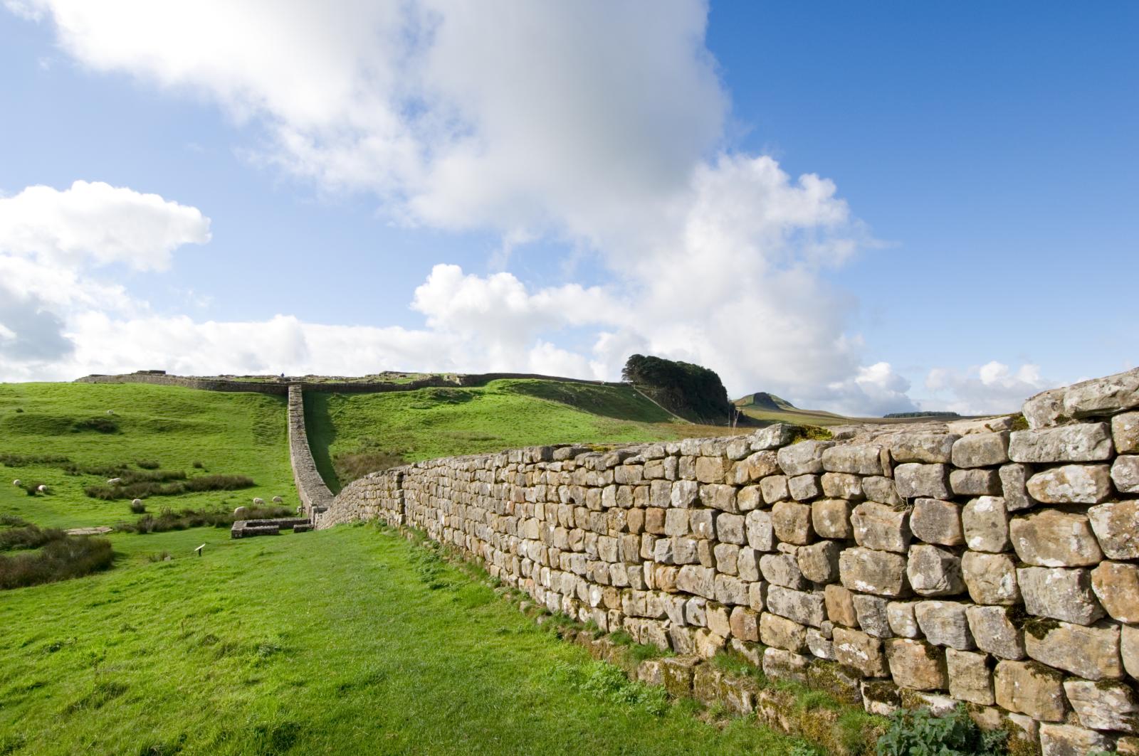 View of section running east from Housesteads Fort.