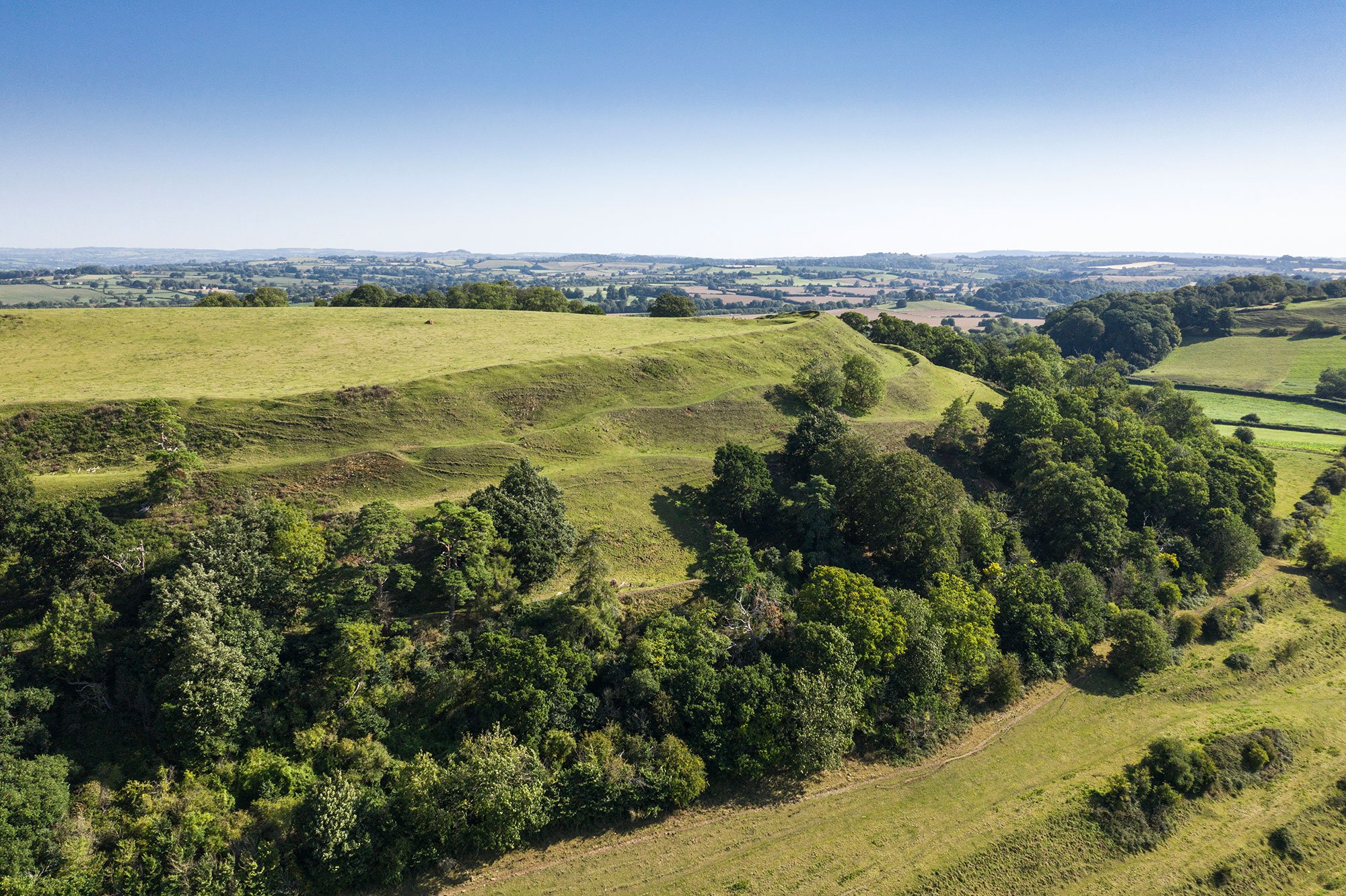 Aerial view of hill fort surrounded by trees.