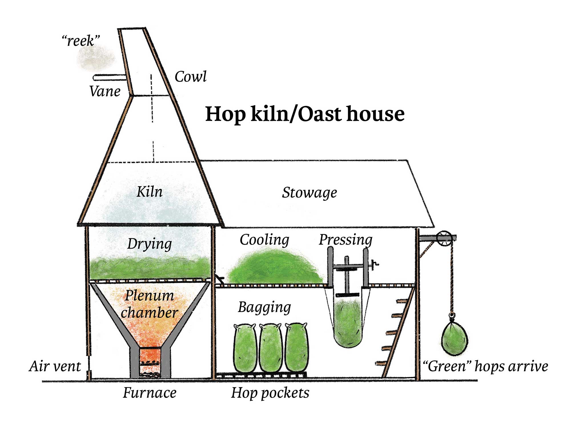 Cross section of a hop kiln