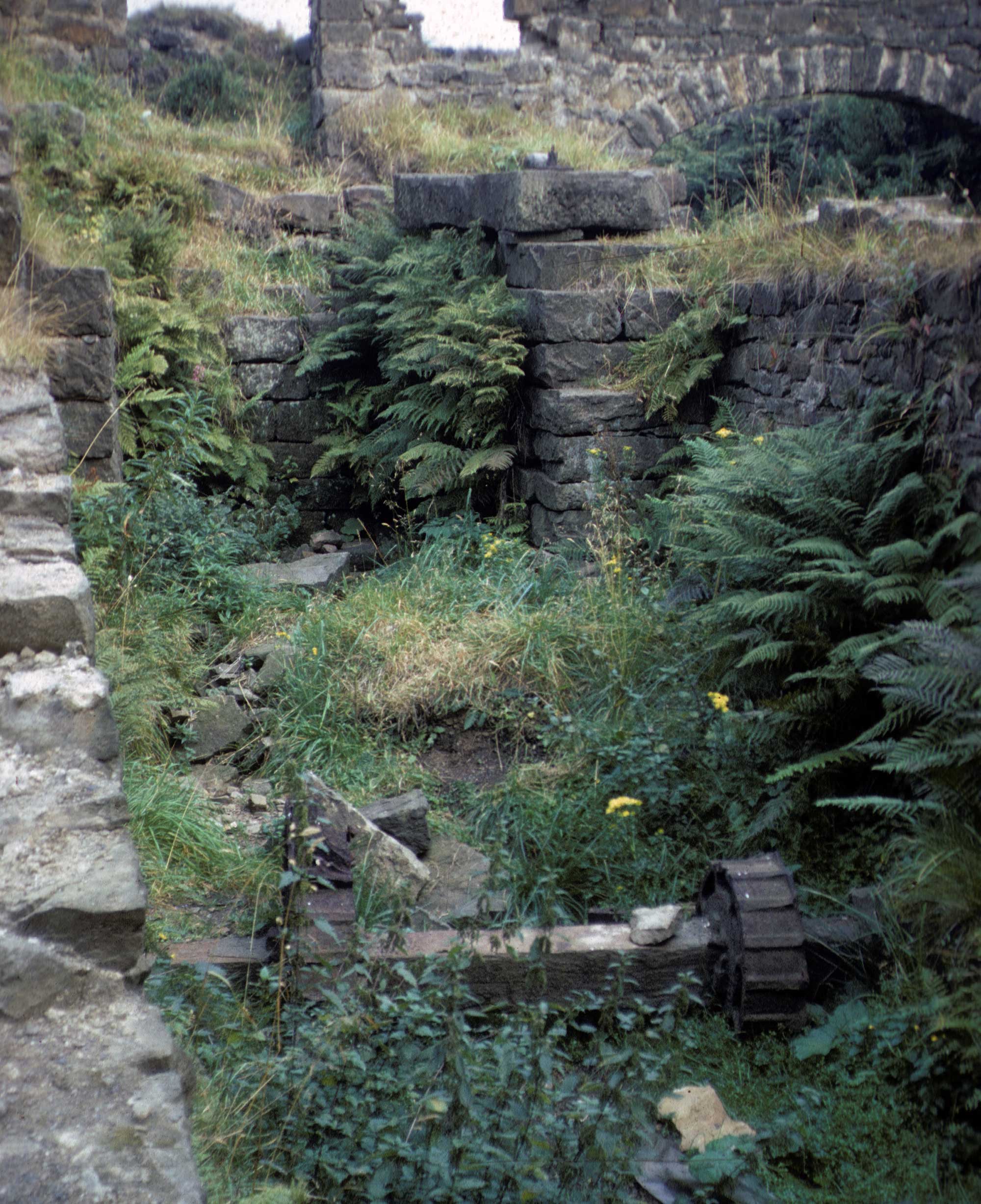 Remains of a wheelpit covered with vegetation