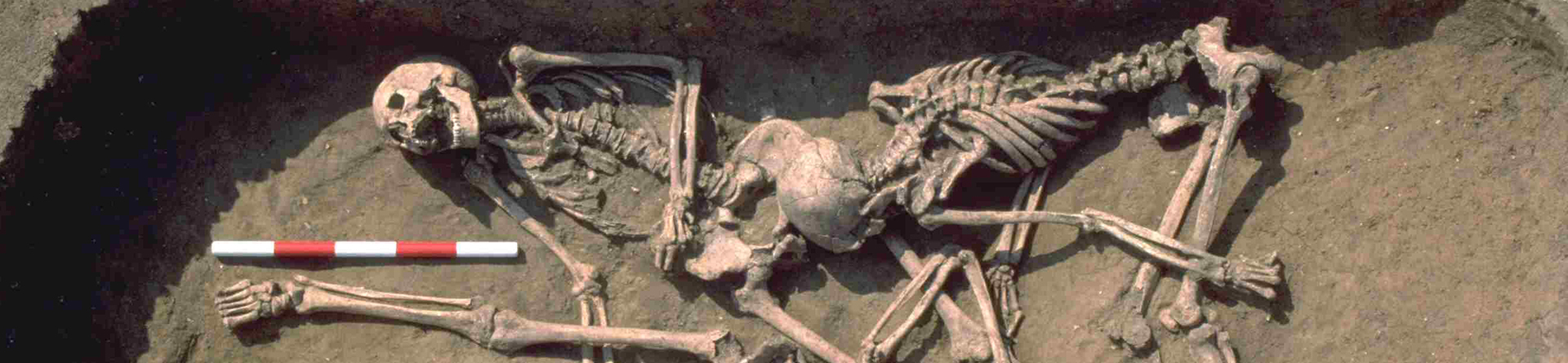 A triple burial dating to the Roman period, being excavated at Stanwick, Northamptonshire.