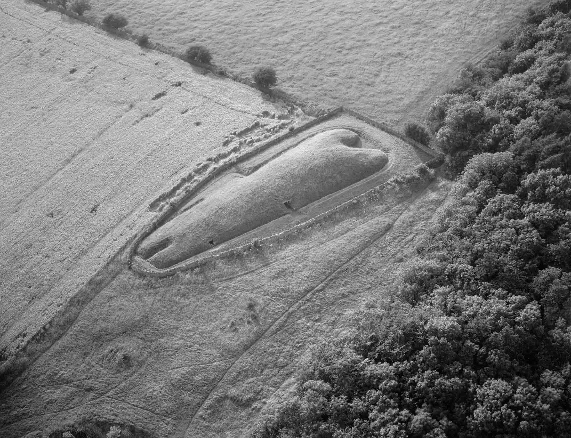 Black and white oblique aerial photograph of long barrow set diagonally in the centre of the image. Trapezoid in shape, the barrow tapers towards the left. At the wider end is a wide, curved recess. At the opposite end is a narrow, elongated recess. The barrow is enclosed by a stone wall and is bordered by grassy fields, a field of cereal and dense woodland.