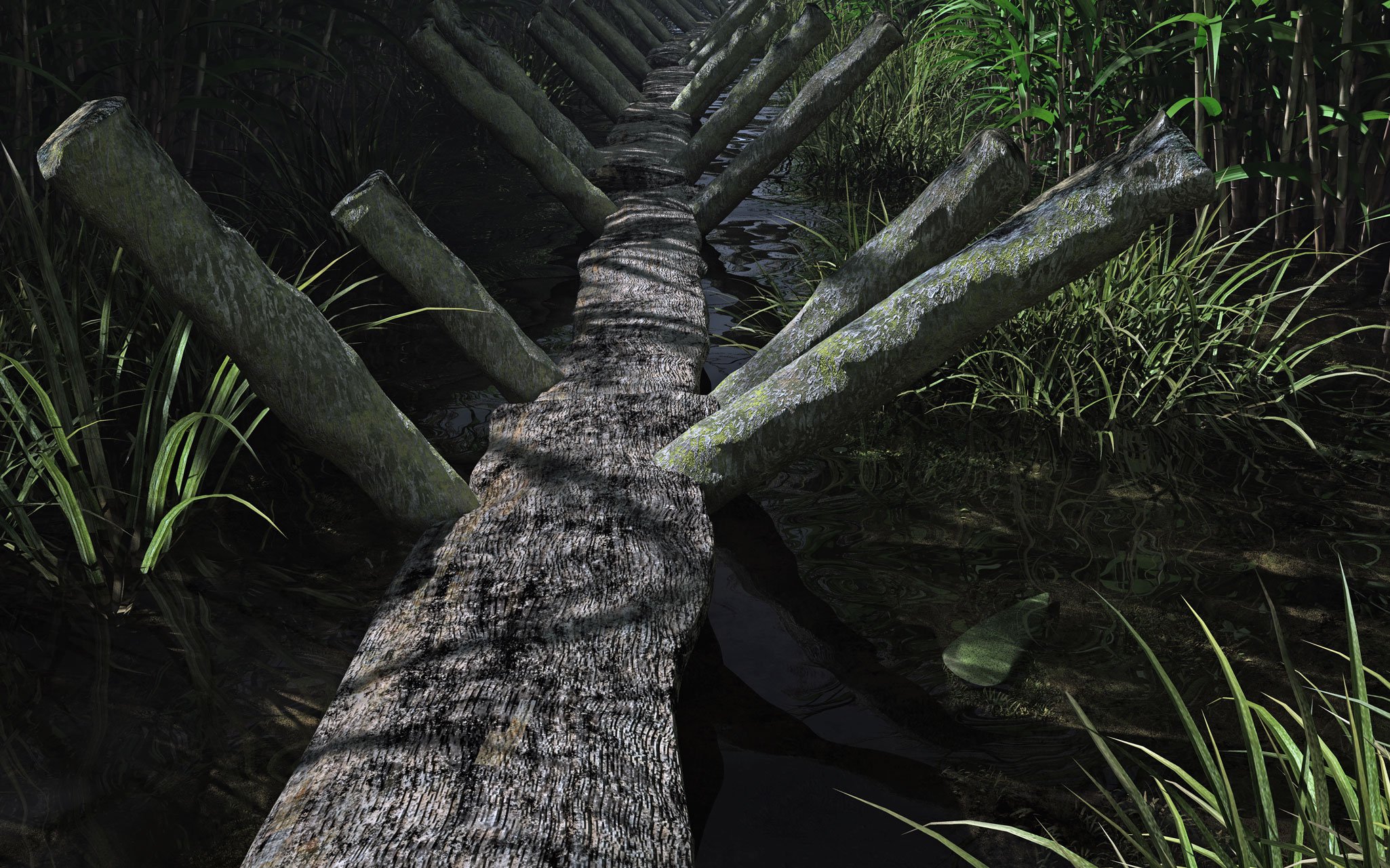Reconstruction of a narrow timber track in a reedbed; a polished axehead is depicted in the water to one side of the track.