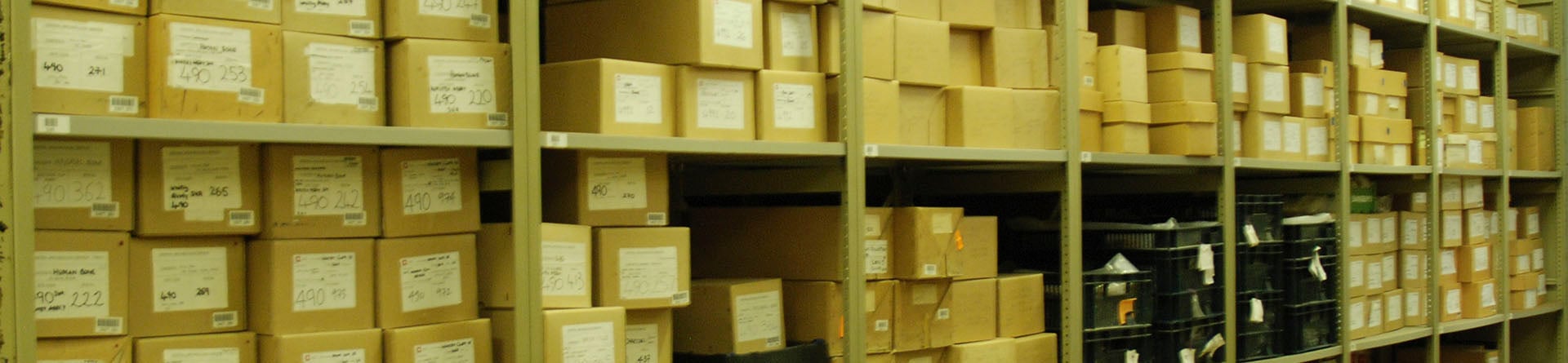 Labelled archive boxes on shelves within an archives store