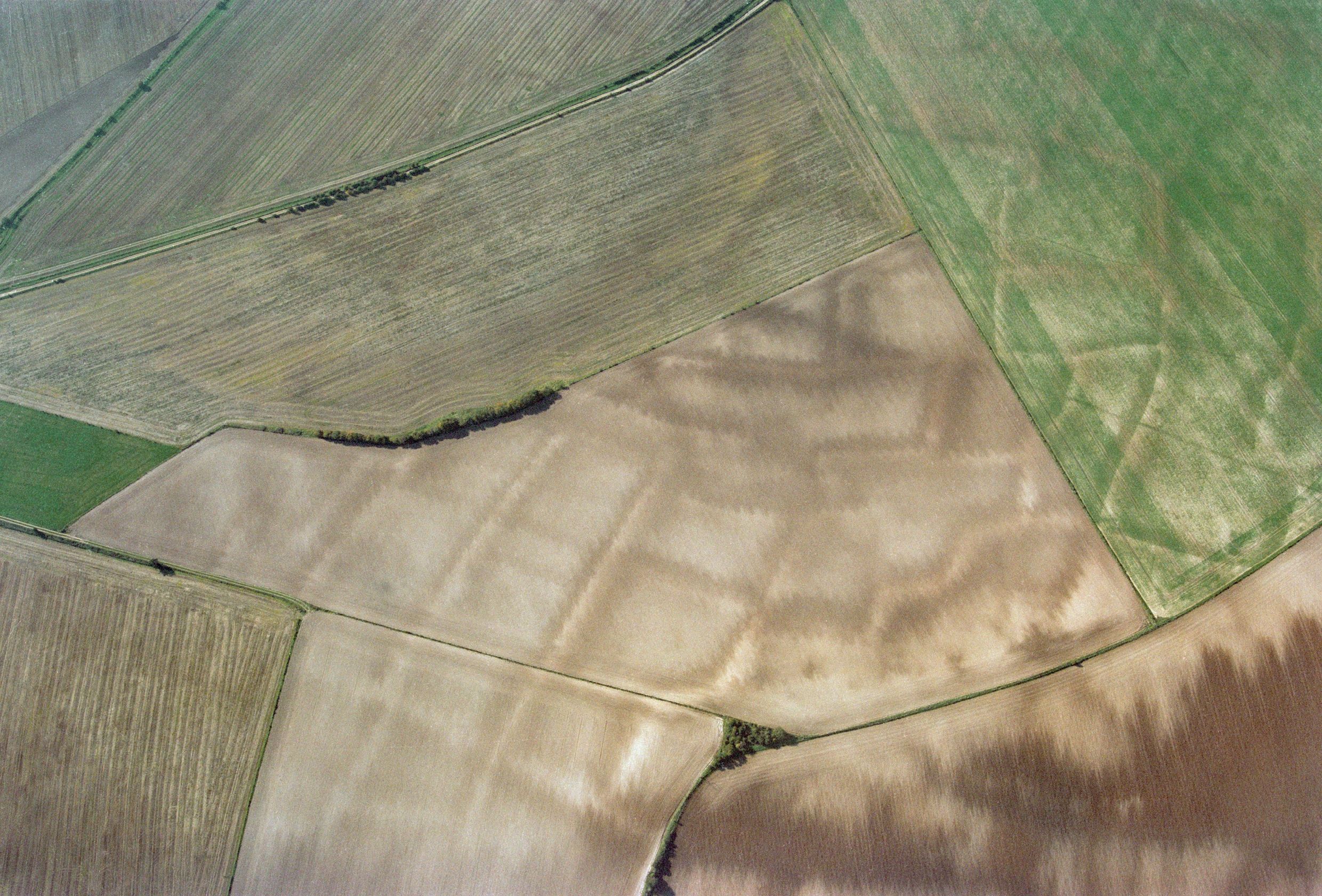 Image of buried archaeology in rural fields visible from aerial photographs