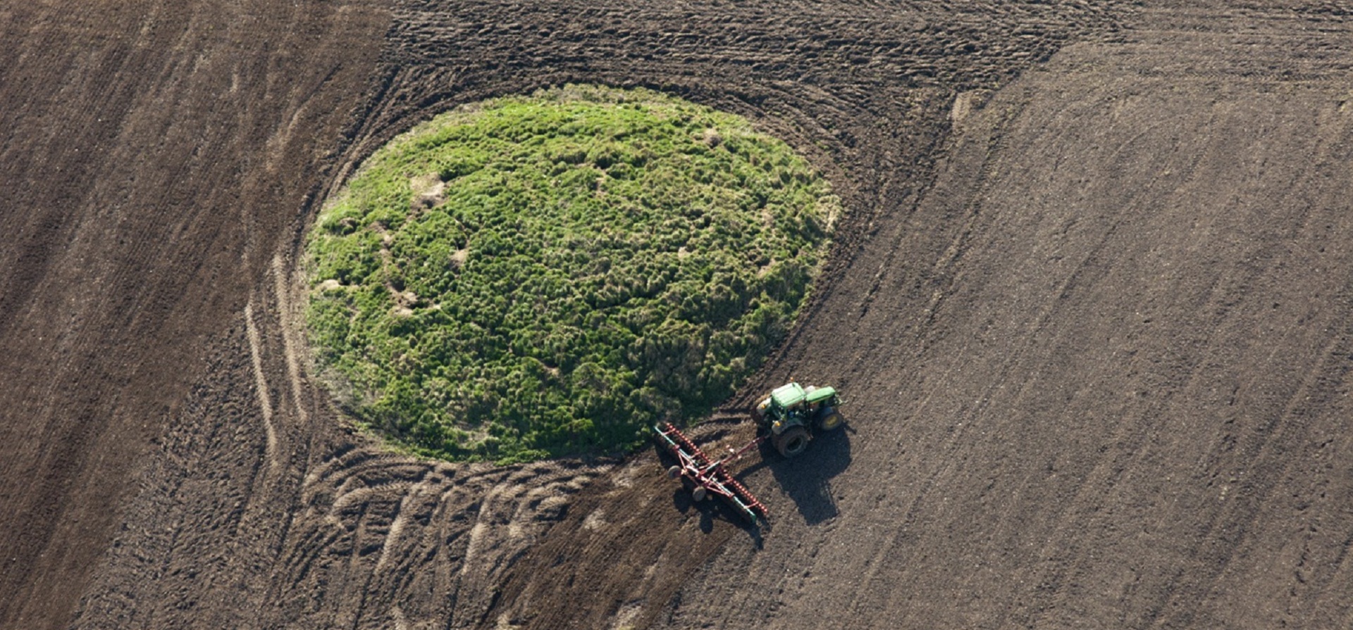 A round barrow clipped by ploughing.