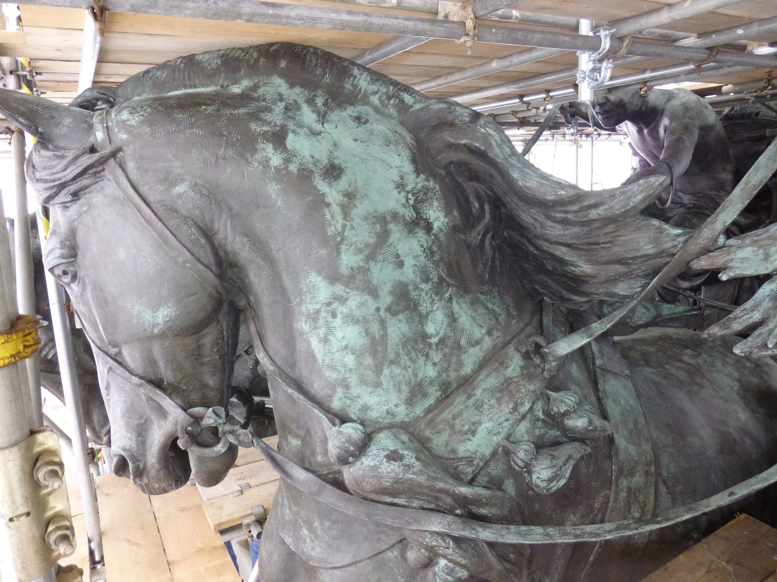 Horse head surrounded by scaffolding.