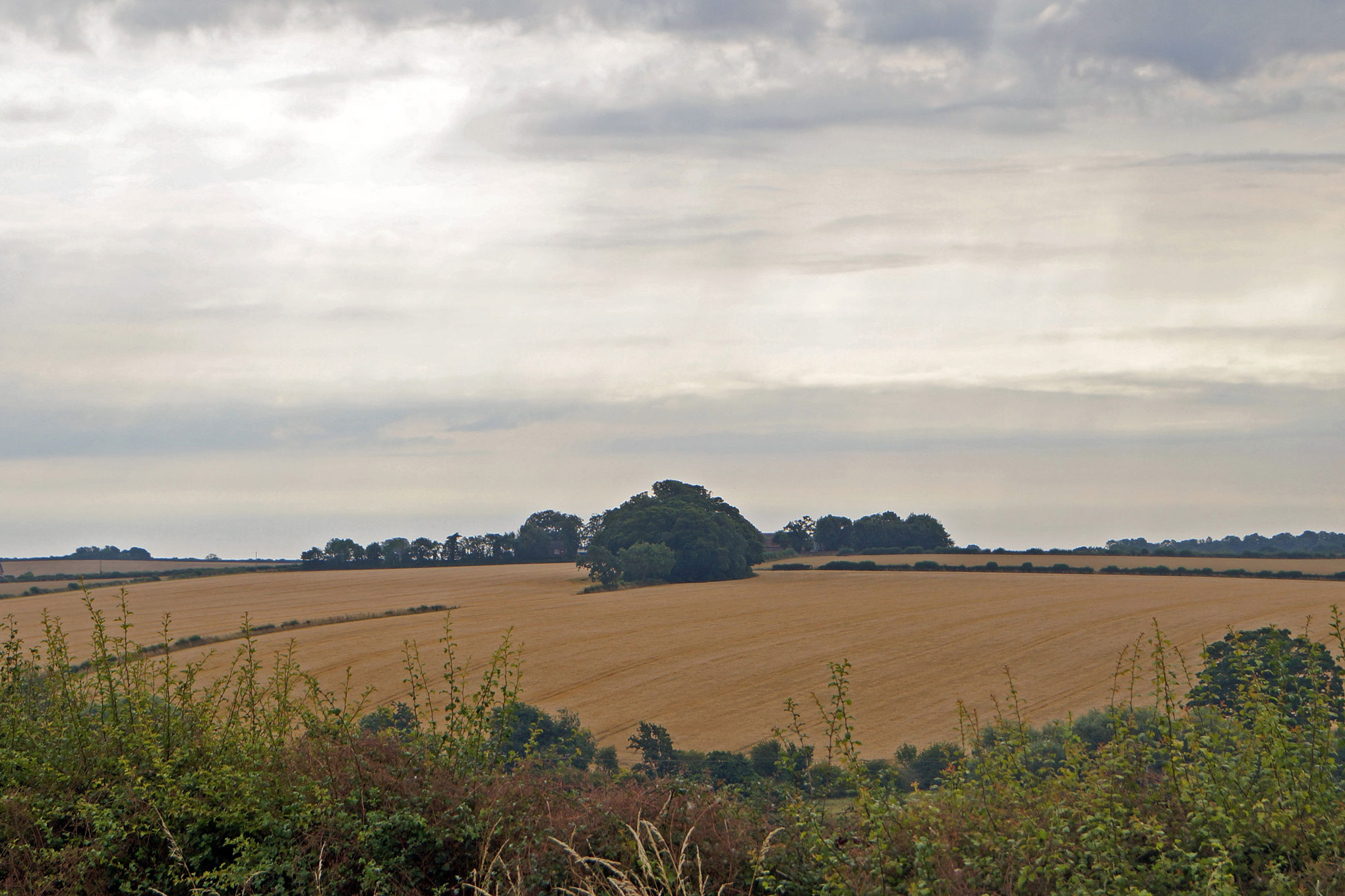 View across fields to a tree-grown barrow.