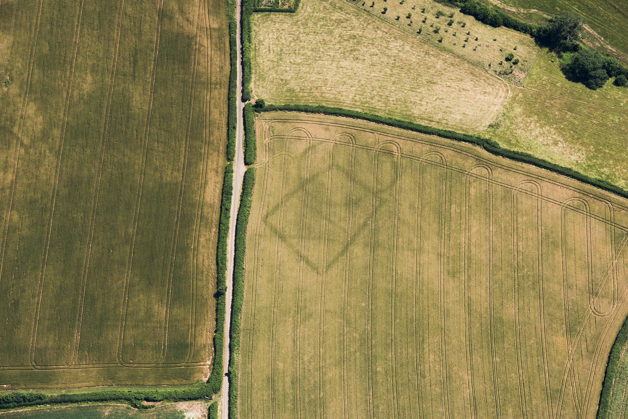 Aerial view of prehistoric farms