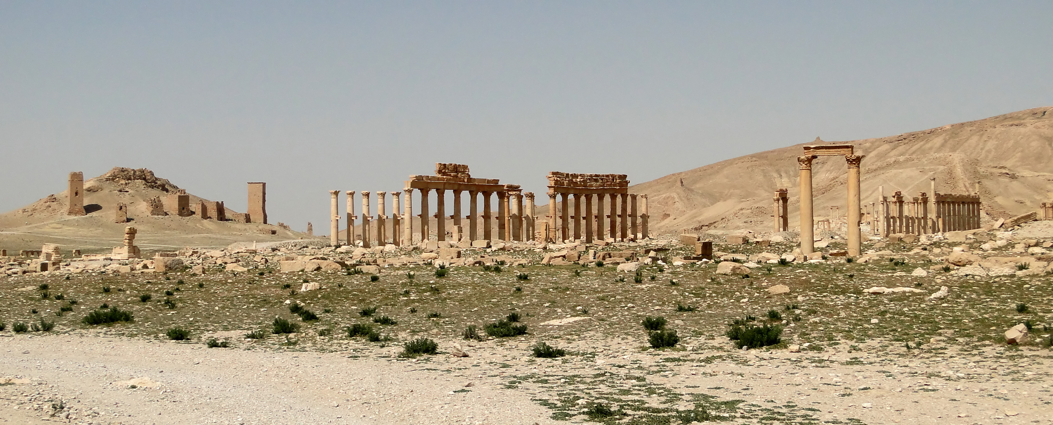 An image of Diocletian's Camp Palmyra, Syria