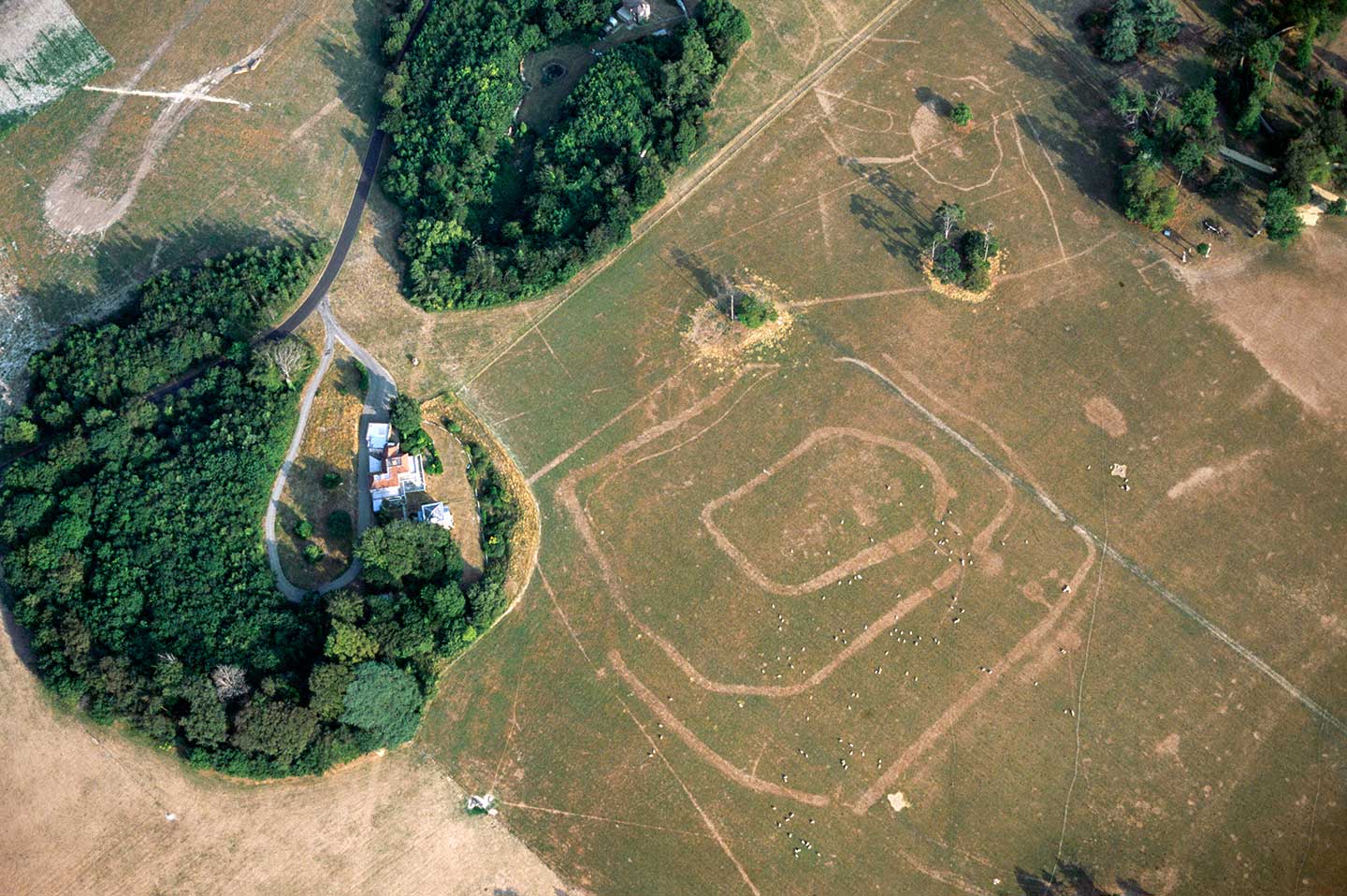Colour aerial photo showing grass fields with the archaeology seen as pale lines against a generally darker background