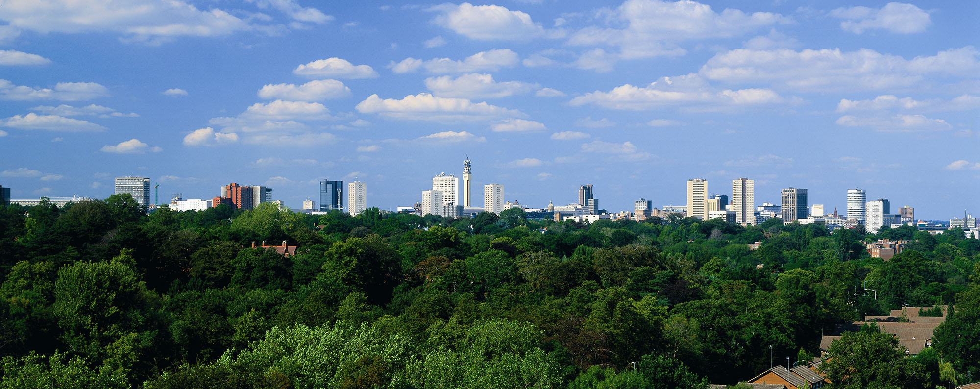 City skyline showing an extensive tree canopy in the Edgbaston Conservation Area