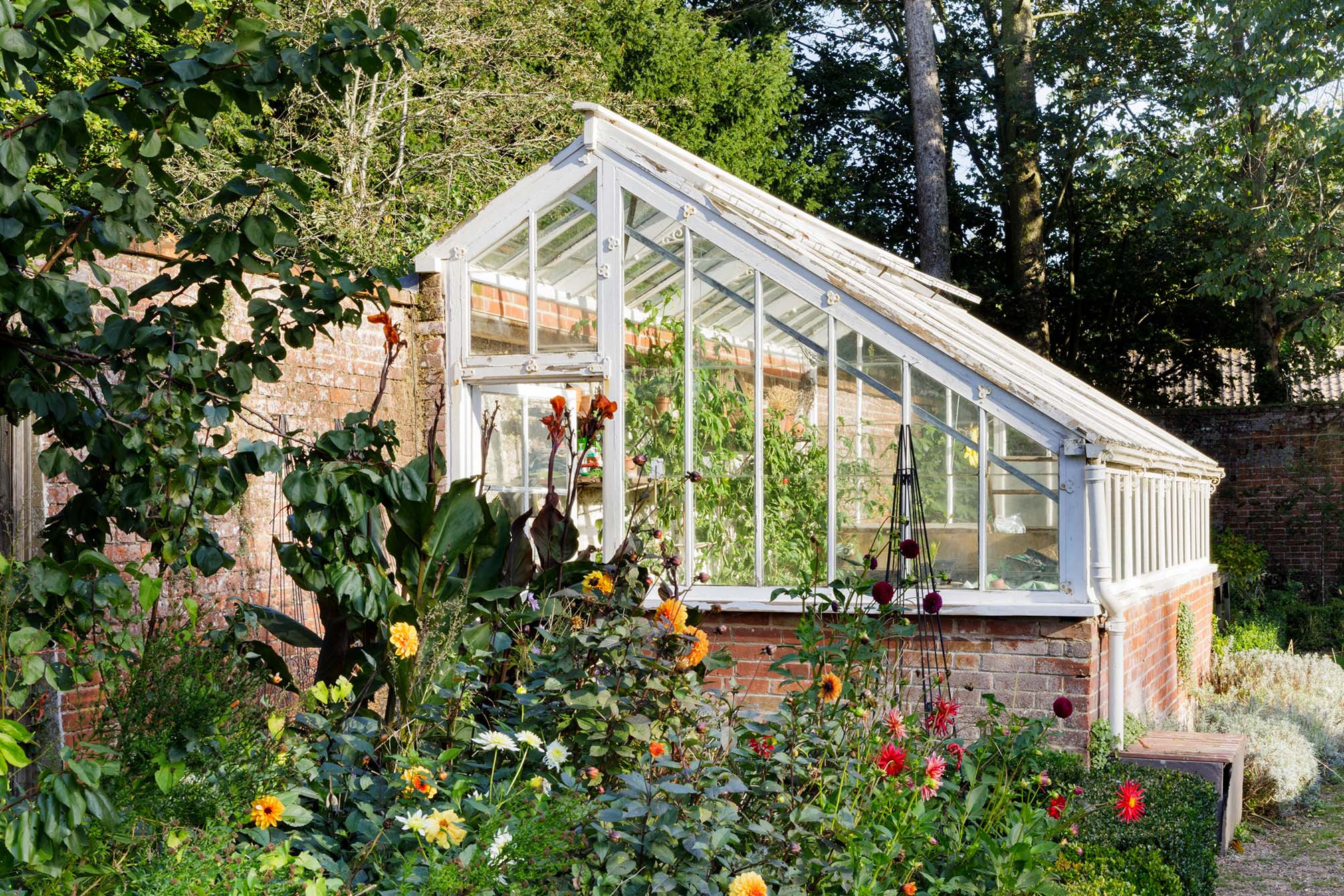 The photograph shows a greenhouse with flowerbeds in bloom with dahlias and daisies, in the foreground.