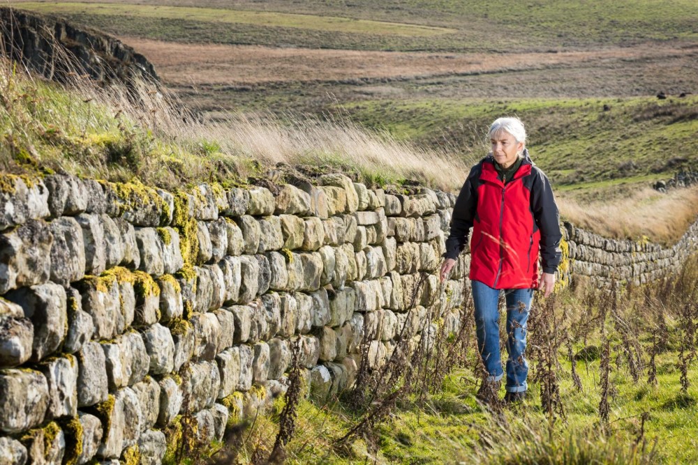 A woman walks alongside a low stone wall covered with turf. 