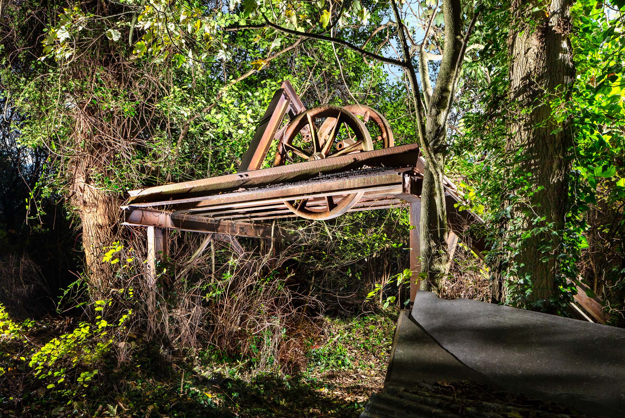 View of a former colliery's headgear surrounded by overgrown trees and bushes