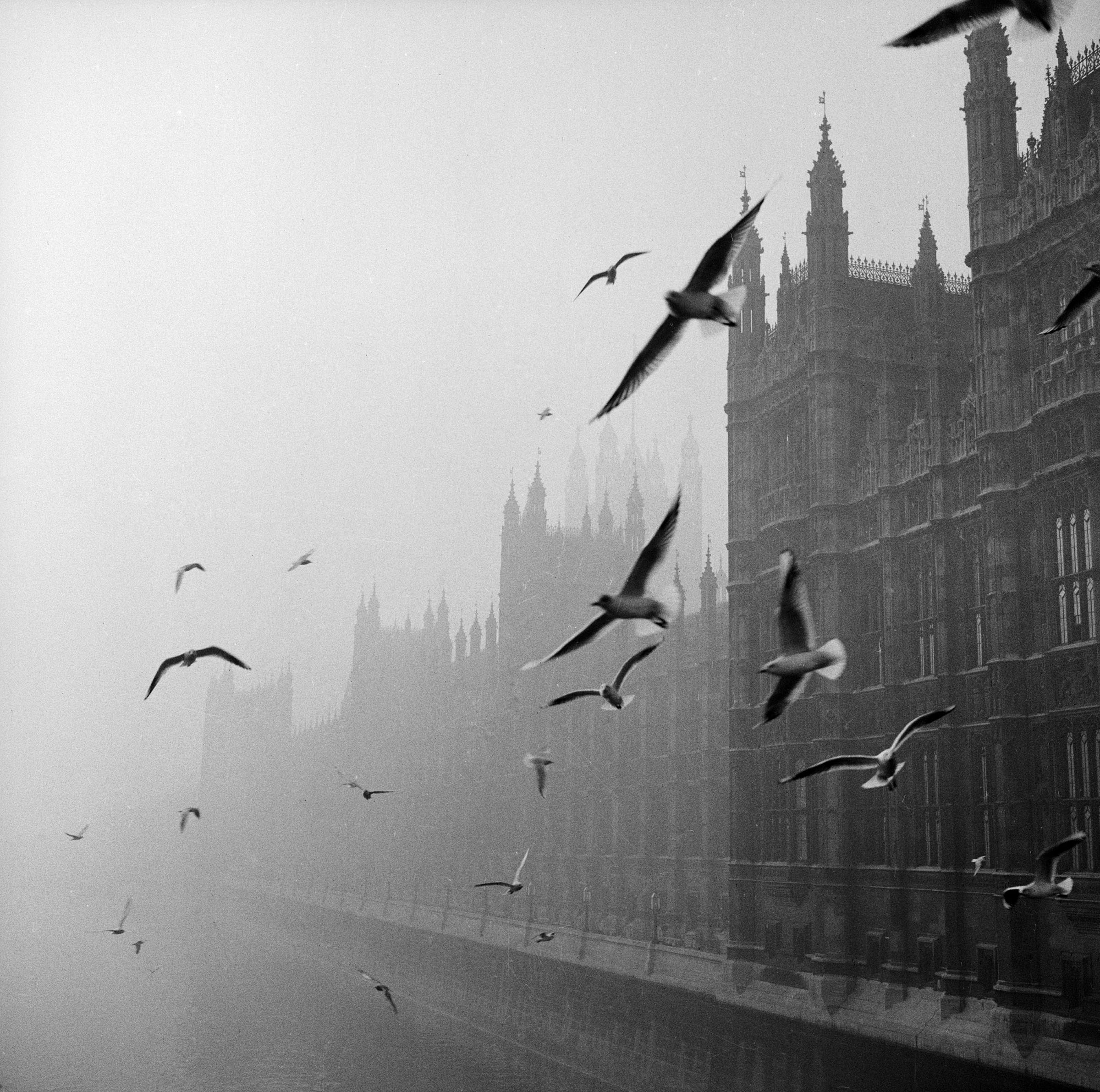 Black and white photo of the Houses of Parliament in the fog with birds flying past