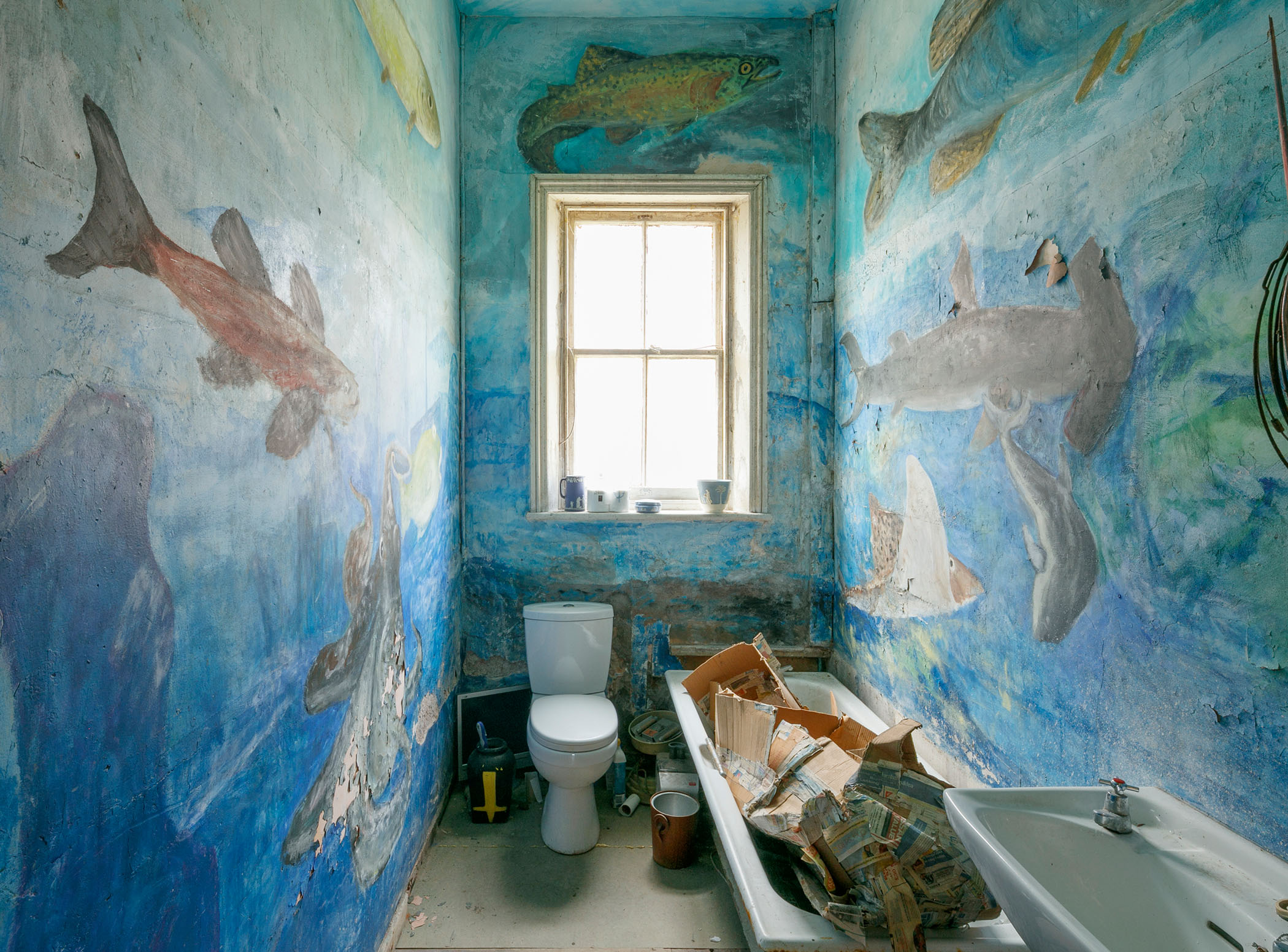 A photograph of a small bathroom with a window frame in the centre and walls painted with a mural of an underwater scene containing fish, a hammerhead shark and other sea life.